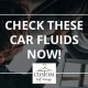 car fluids, auto, mechanic